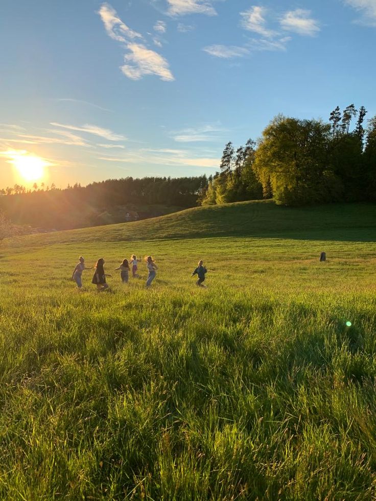 several people are walking in the grass at sunset