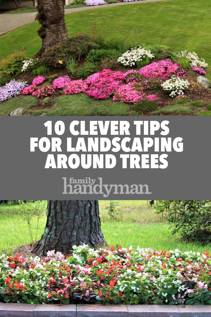 flowers and trees with the words 10 clever tips for landscaping around trees