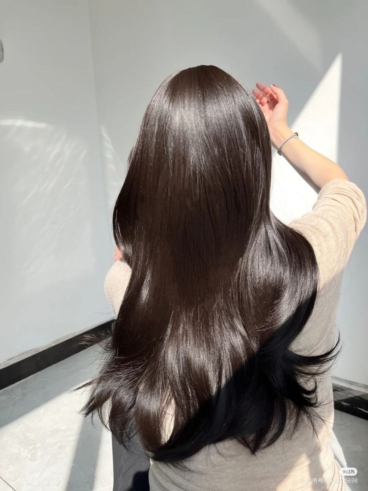 Long Shiny Hair, Hair Style Korea, Hair Inspiration Long, Luscious Hair, Long Brown Hair, Silk Hair, Asian Hair, Silky Hair, Dream Hair