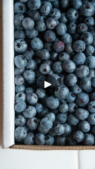 a box filled with blueberries sitting on top of a counter