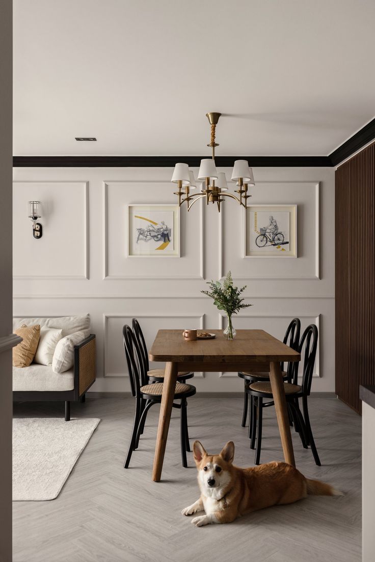 a dog laying on the floor in front of a dining room table with chairs and a couch