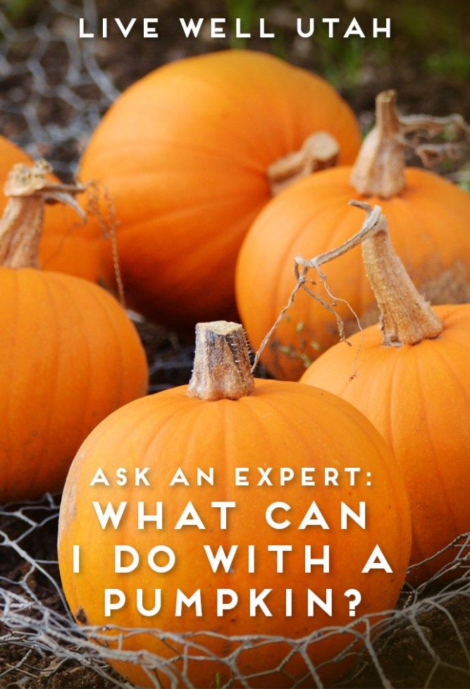 five pumpkins sitting on the ground with text overlay that reads ask an expert what can i do with a pumpkin?