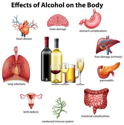 the effects of alcohol on the body