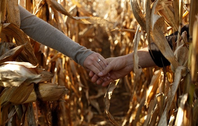 two people holding hands in a corn field