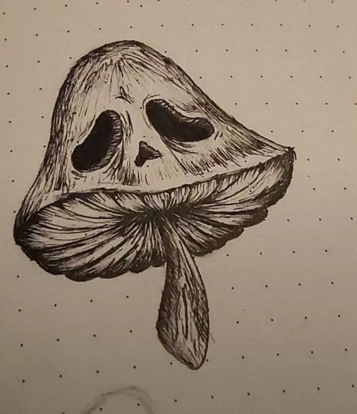 a drawing of a skull with a bow tie around its neck and the bottom part of it's head