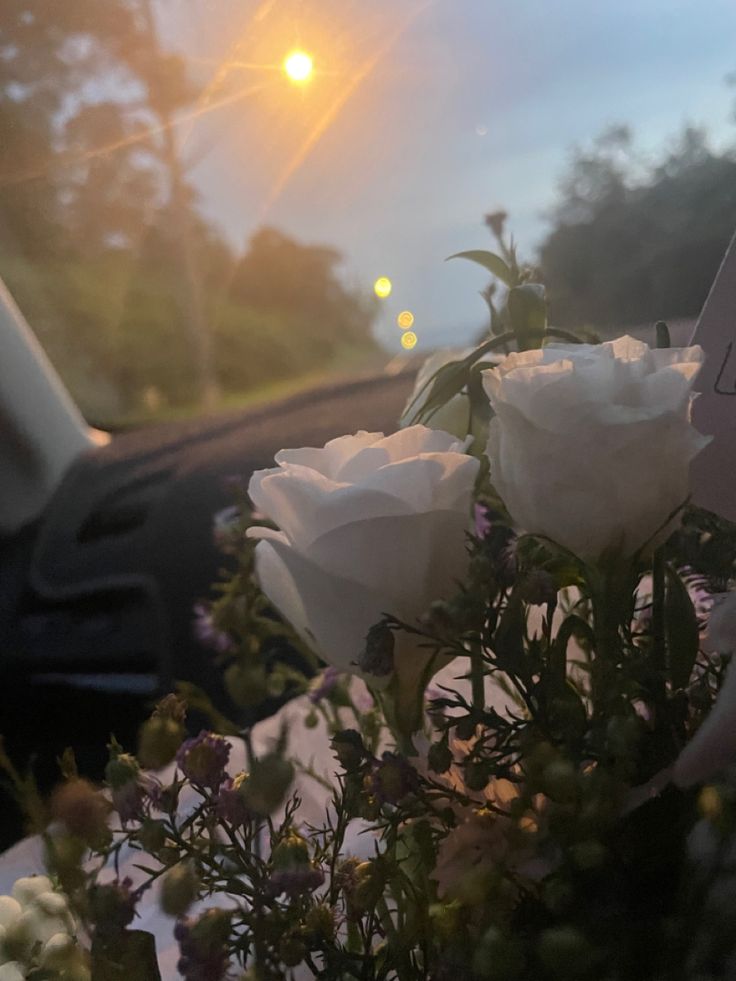 some white roses are sitting in the front seat of a car as the sun goes down