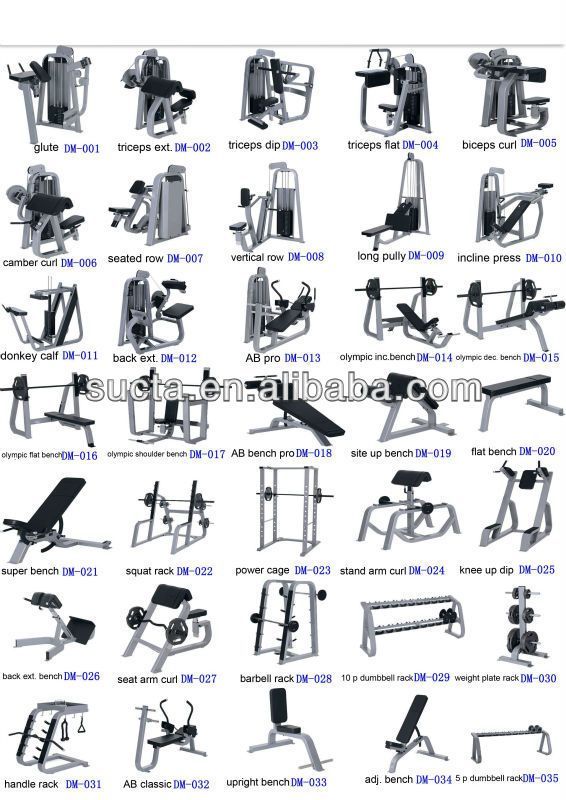 the different types of gym equipment for home use, including squats and bench presses