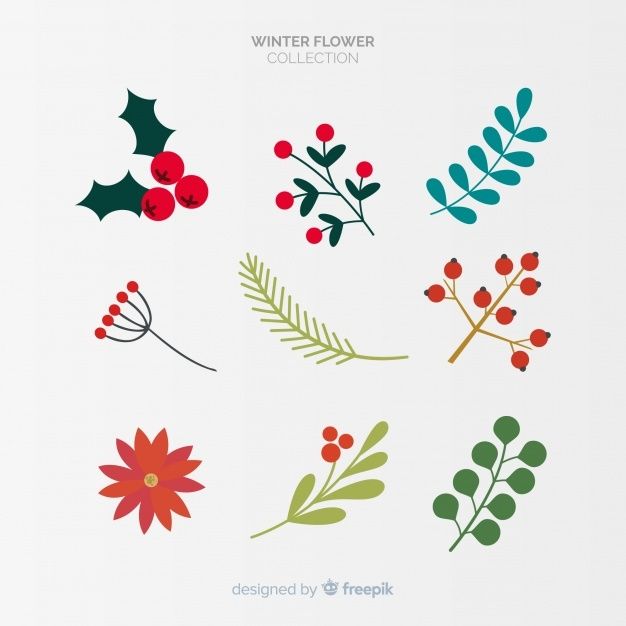 a collection of christmas flowers and berries on a white background with the words winter flower collection written below