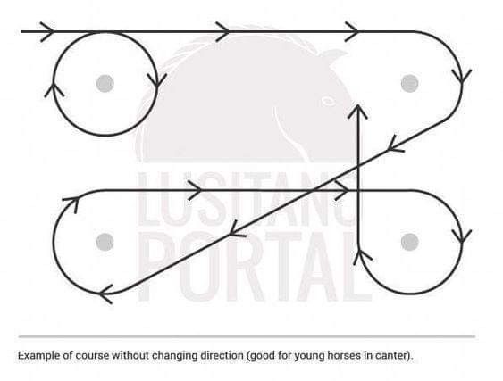 the diagram shows how to draw a horse's nose with two different angles and directions