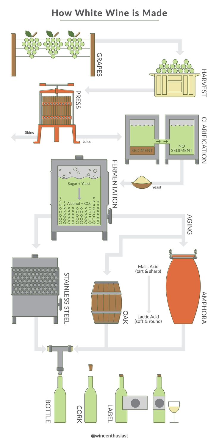 the wine making process is depicted in this diagram