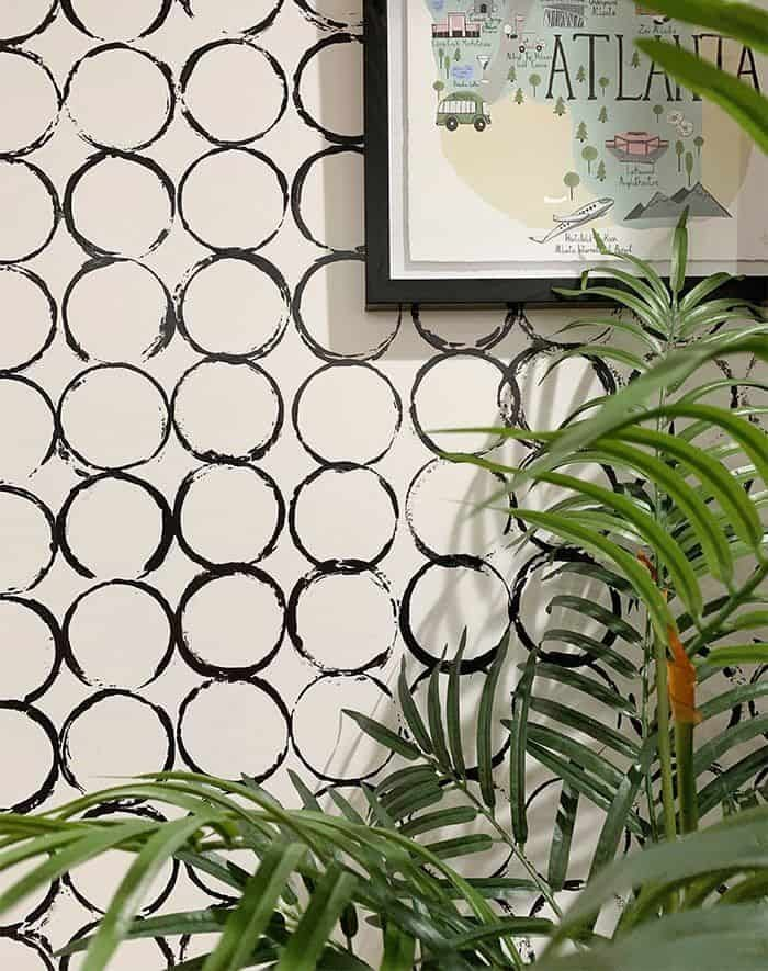 a potted plant sitting next to a white wall with black circles on it