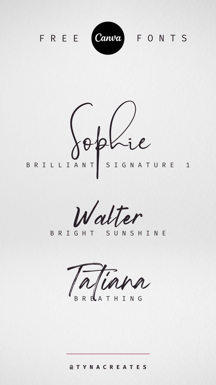 some type of font that is in different colors and sizes, with the names below it