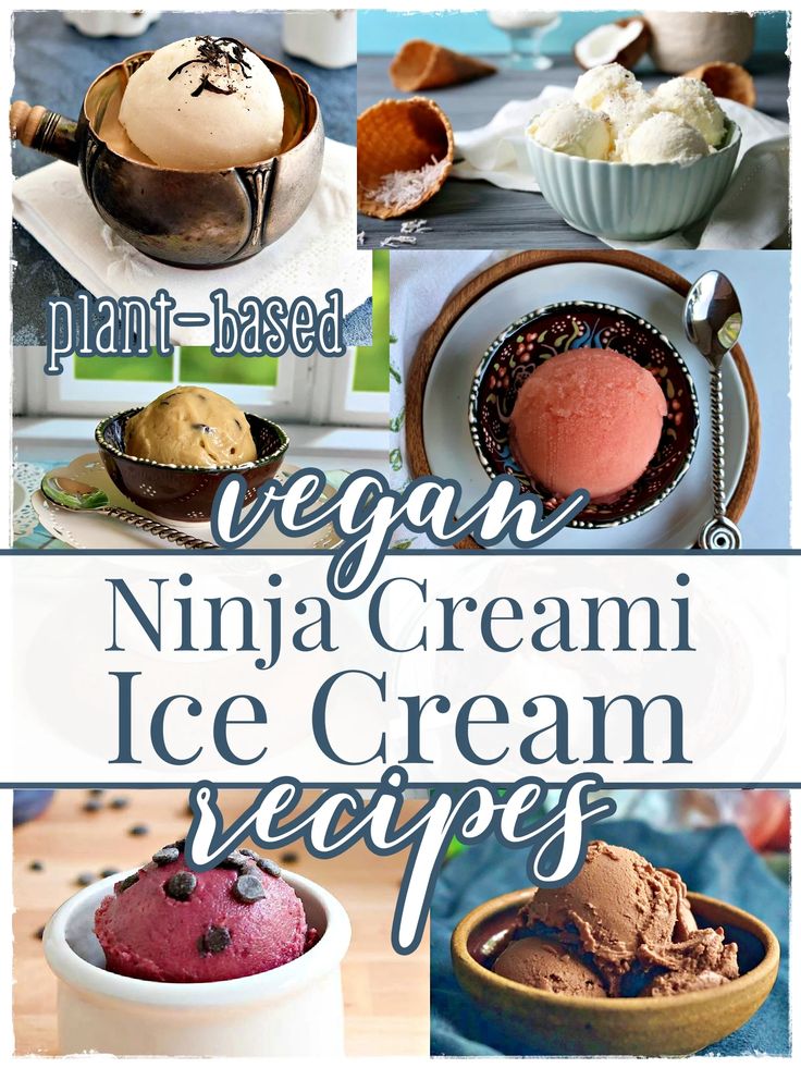 an image of vegan ninja cream ice cream recipes