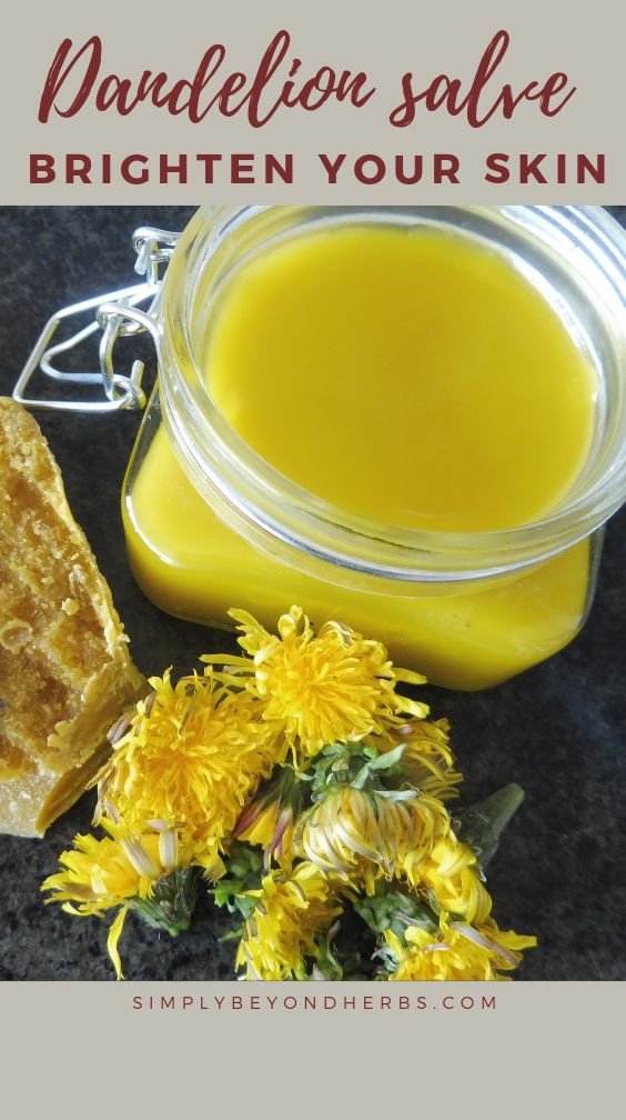 Dandelion Uses Witchcraft, Dandelion Salve Benefits, Dandelion Salve, Salve Recipes, Foraging Recipes, Herbal Salves, Healing Salves, The Dandelion, Herbal Recipes