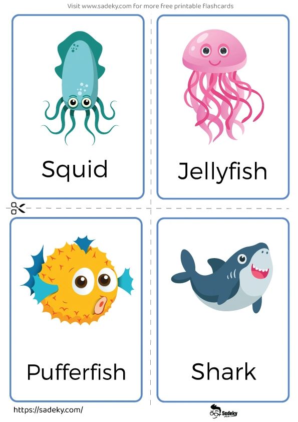 four different types of animals that are in the same language, including squid, jellyfish, and shark