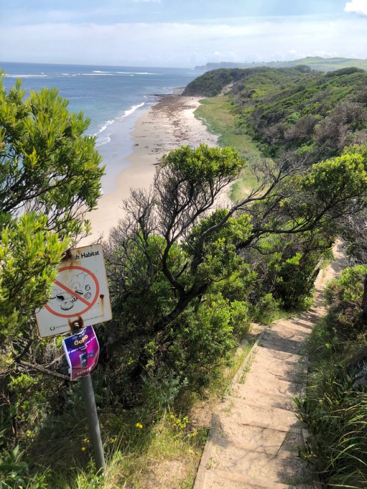 a sign that is on the side of a hill near some trees and water with a beach in the background