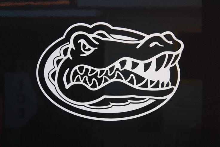 an alligator's head is shown on a black background