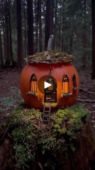 an orange pumpkin shaped house in the woods