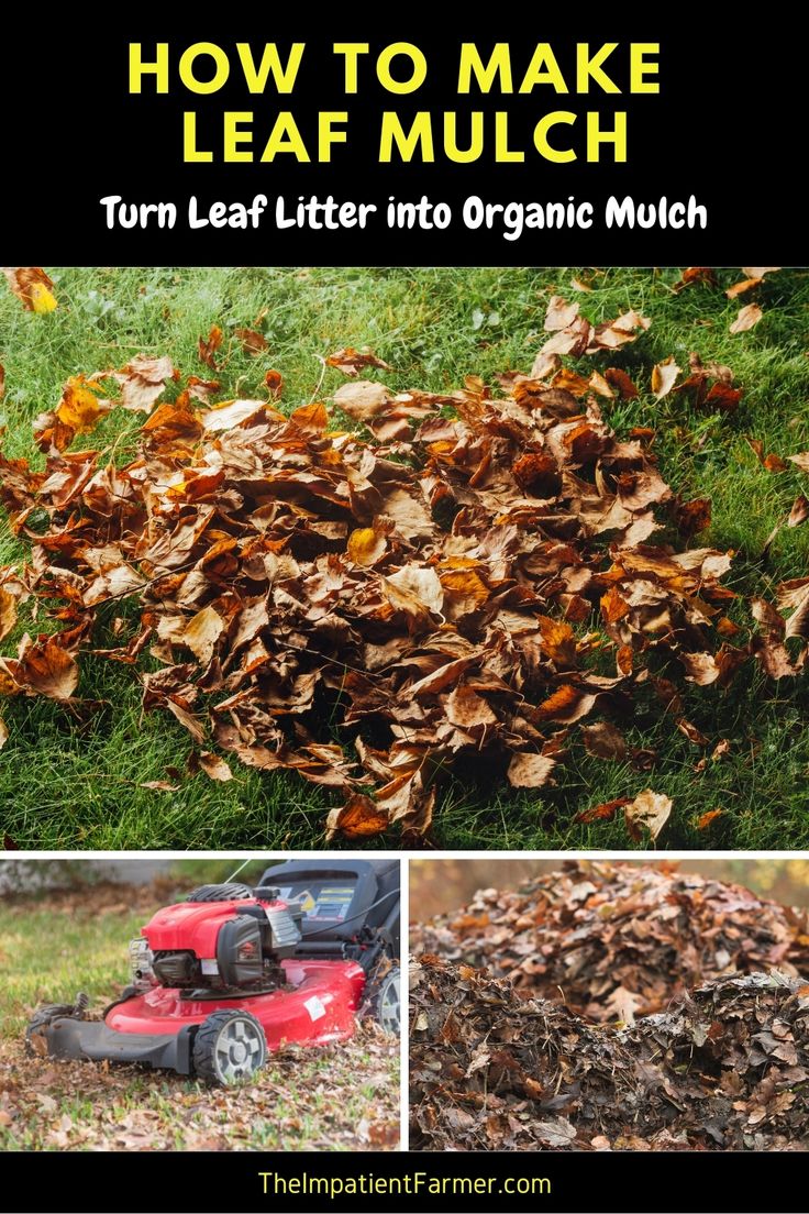 how to make leaf mulch from turn leaf litter into organic mulch