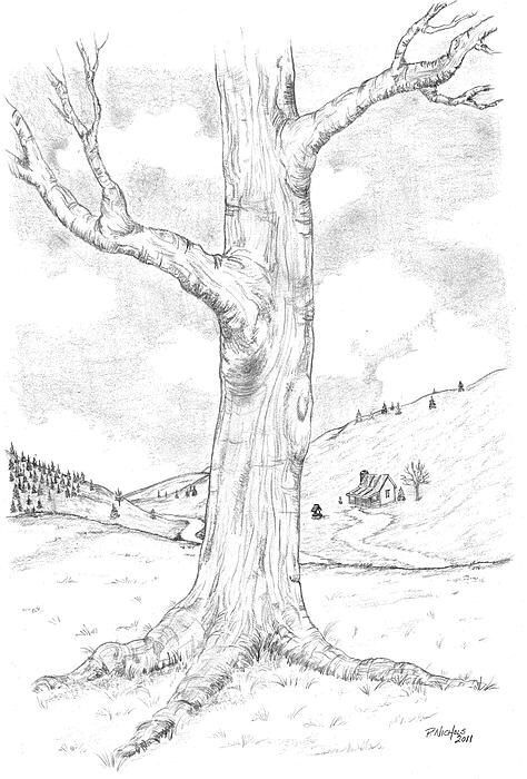 a pencil drawing of a tree on a hill