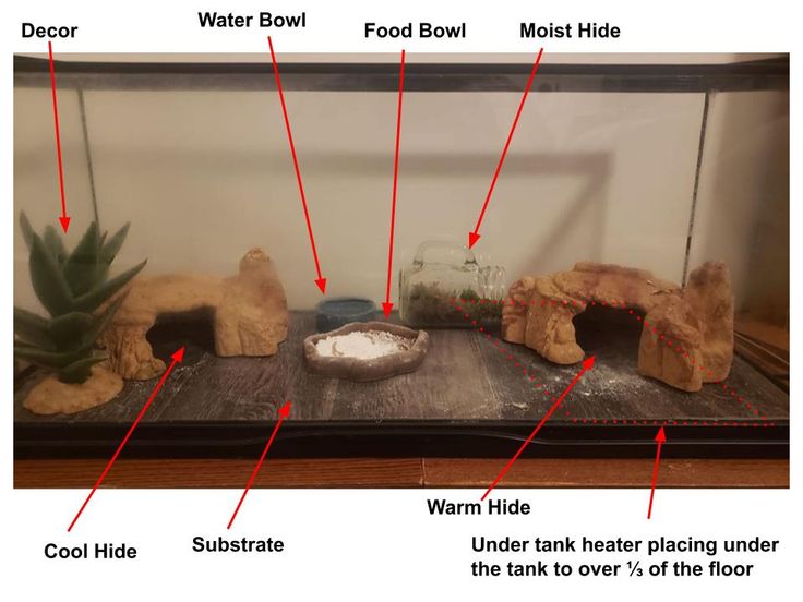 an aquarium with different types of rocks and plants in it's display case, labeled