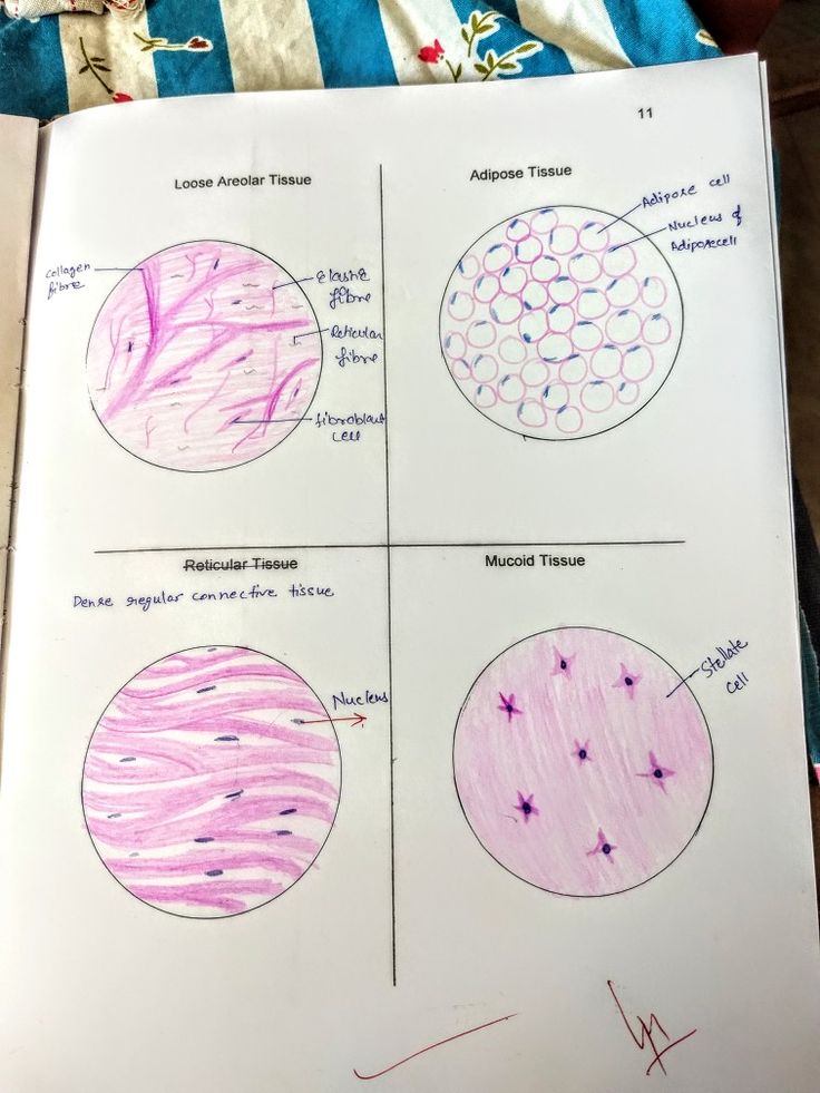 an open book with four different types of shapes and lines drawn on the pages in it