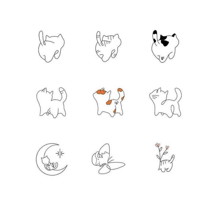 six different types of cats and dogs drawn on paper