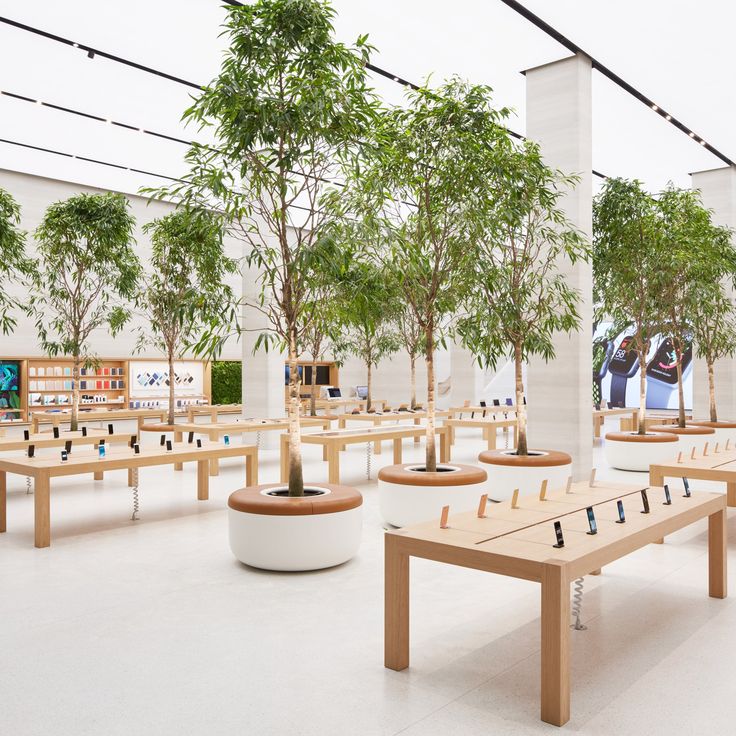 a room filled with lots of wooden tables and benches next to trees in planters