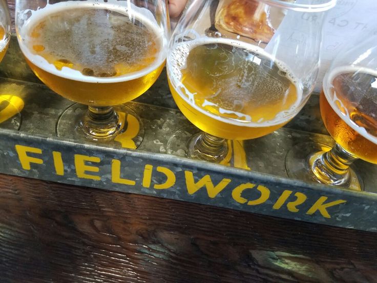 five glasses of beer sitting on top of a wooden table in front of a sign that says fieldwork