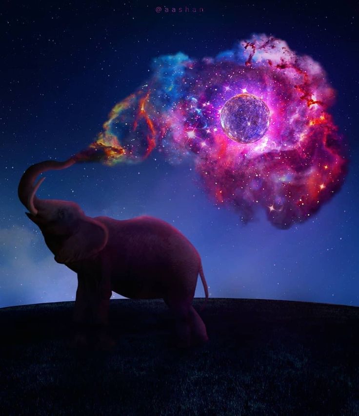 an elephant with its trunk in the air blowing out of it's trunk