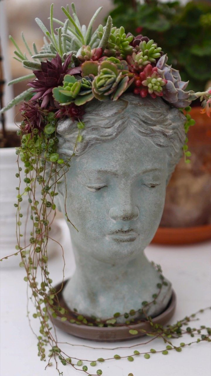 a statue head with succulents and plants in it's hair on a table