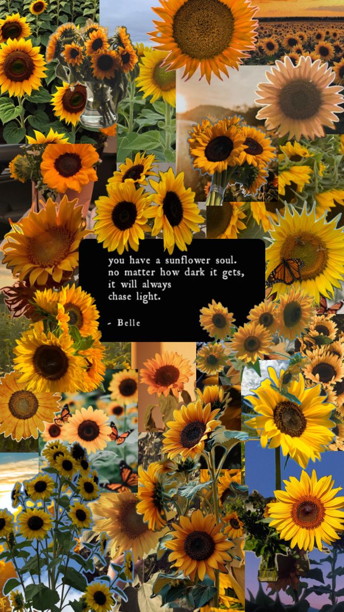 a collage of sunflowers with a quote on it