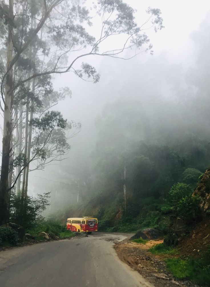 the bus is driving down the road in the foggy mountainside area with trees on both sides