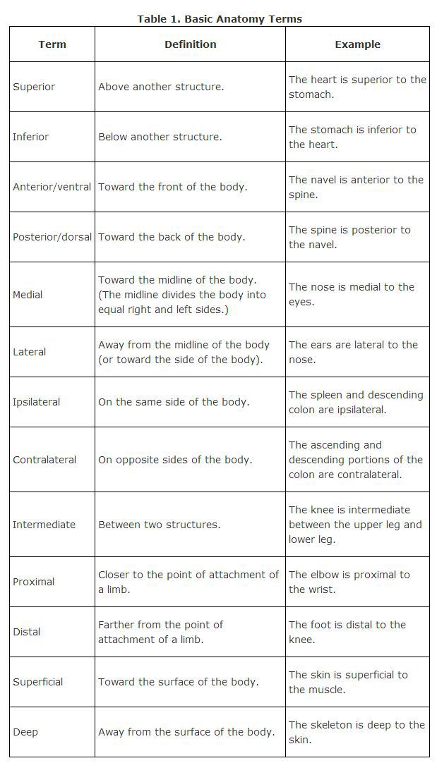 two tables that show different types of text