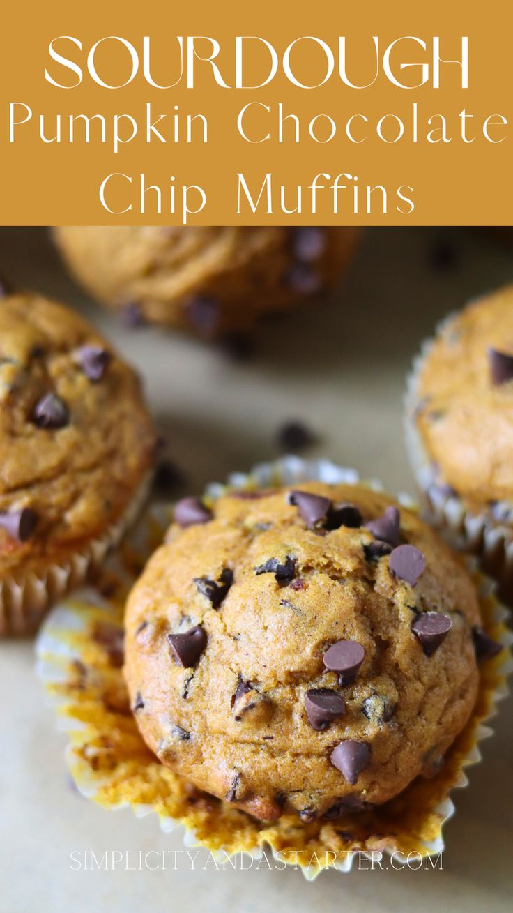 chocolate chip muffins with text overlay that reads sourdough pumpkin chocolate chip muffins