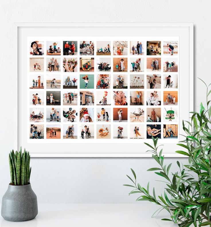 a white framed photo with many pictures on it next to a potted plant