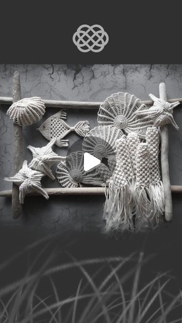 an artistic display with seashells and other items in black and white, against a gray background