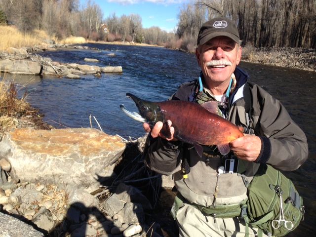 a man holding a fish in his hands