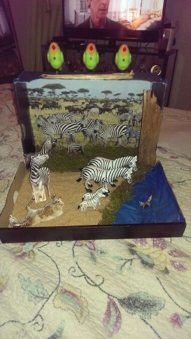 there are some fake zebras in front of a mirror with birds on the top