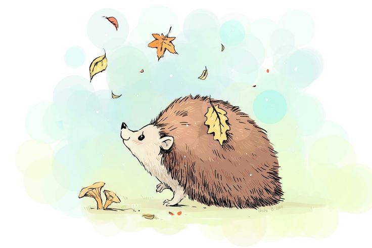 an illustration of a hedgehog with leaves falling from it's back on the ground