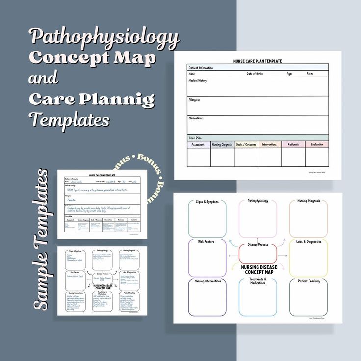 the care planning template is shown with text and images for each section, including an information sheet