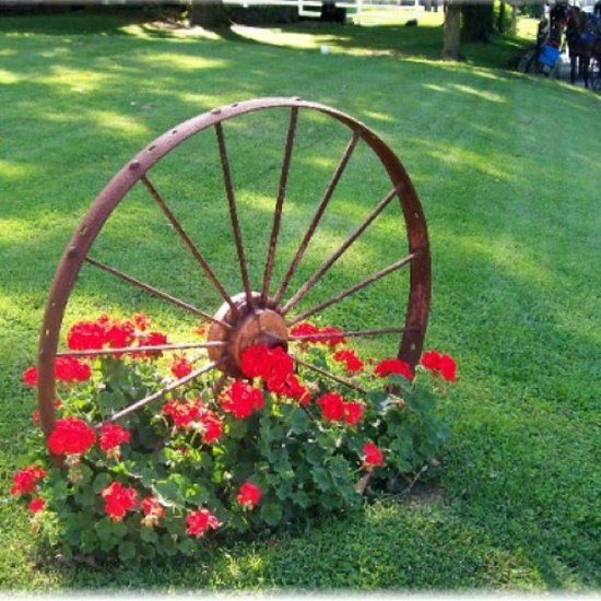 an old wagon wheel with red flowers growing out of it's center in the grass