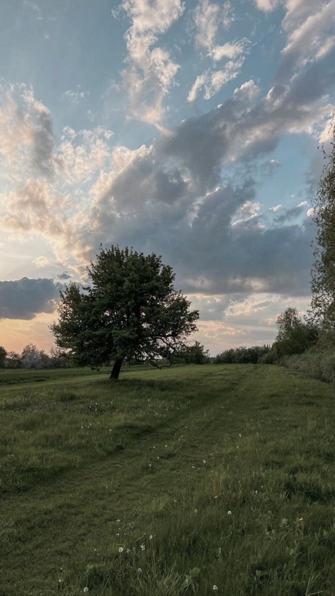 a lone tree stands in the middle of a grassy field under a partly cloudy sky