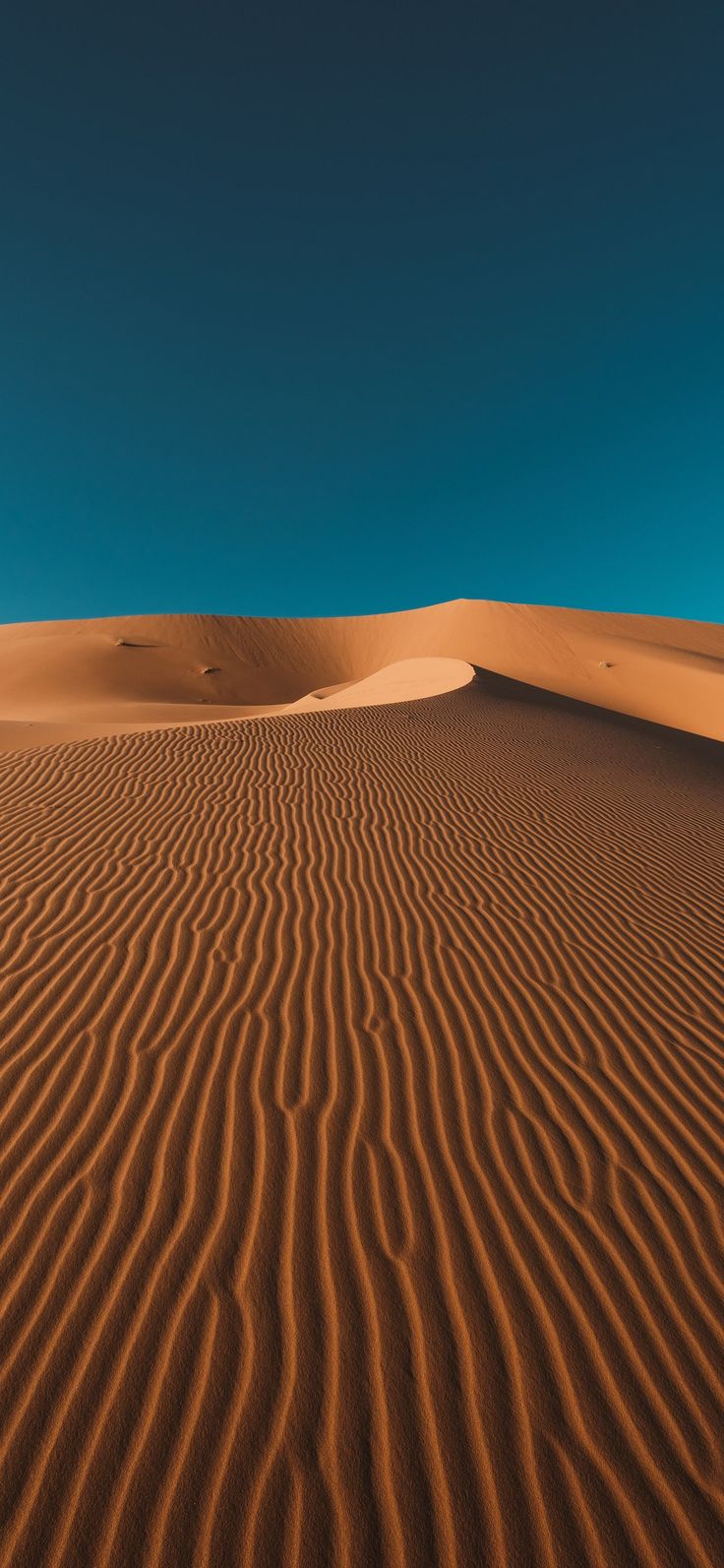 the sand dunes in the desert are very thin and smooth, with no people on them