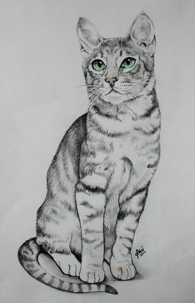 a drawing of a cat with green eyes sitting on the floor looking at the camera