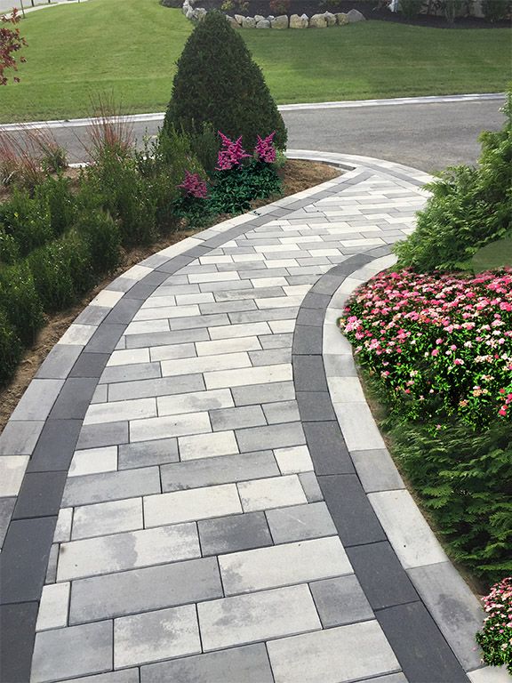 a paved walkway with flowers and bushes on either side