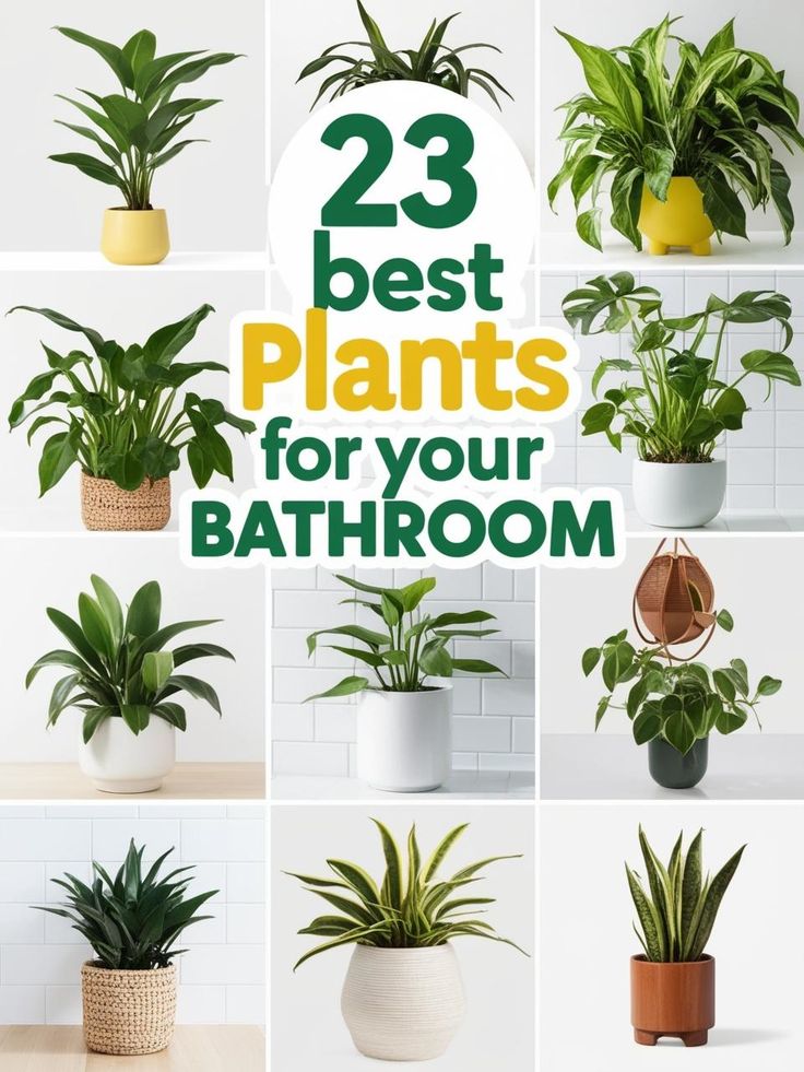 there are many different types of plants in the bathroom with text overlay that reads 23 best plants for your bathroom