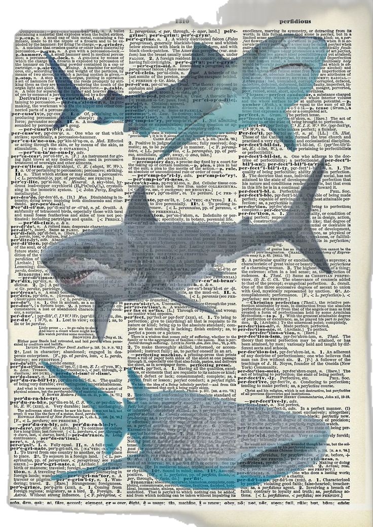 three sharks on an old dictionary page