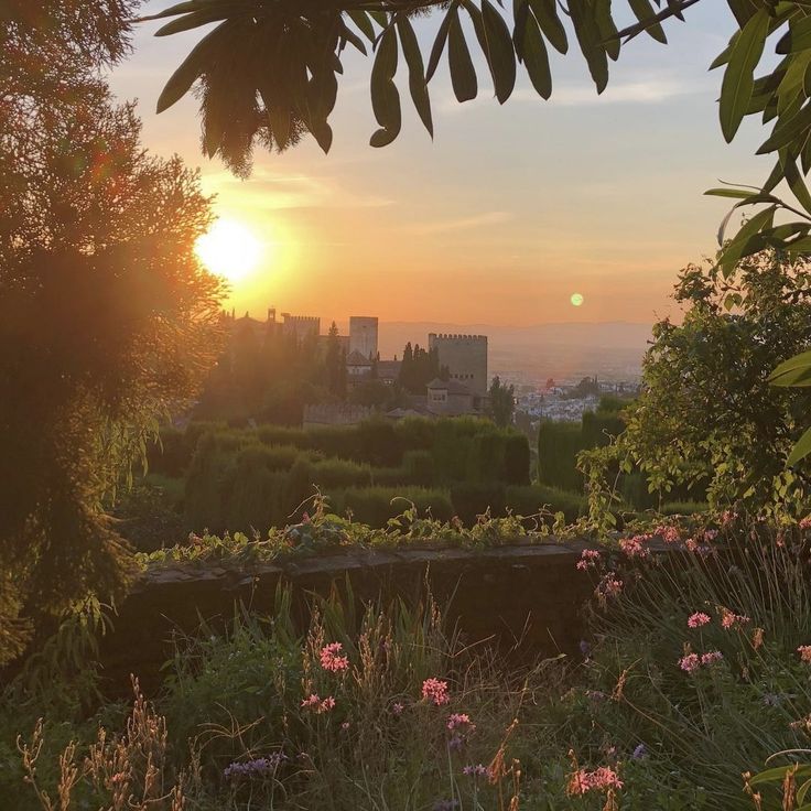 the sun is setting over some trees and flowers in front of a cityscape