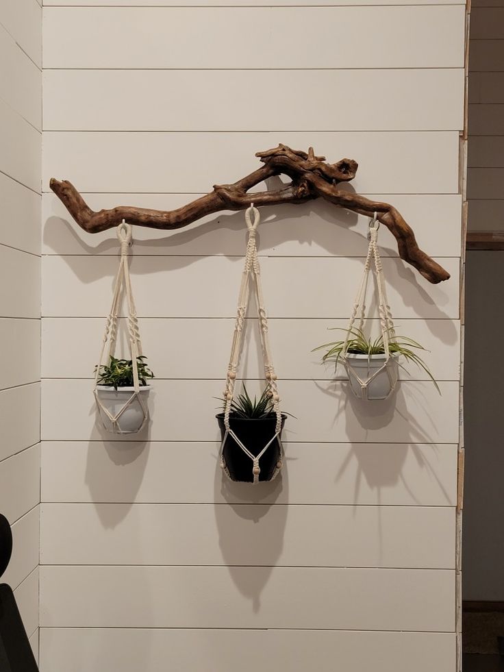 three hanging planters with plants in them on a white wall next to a wooden branch